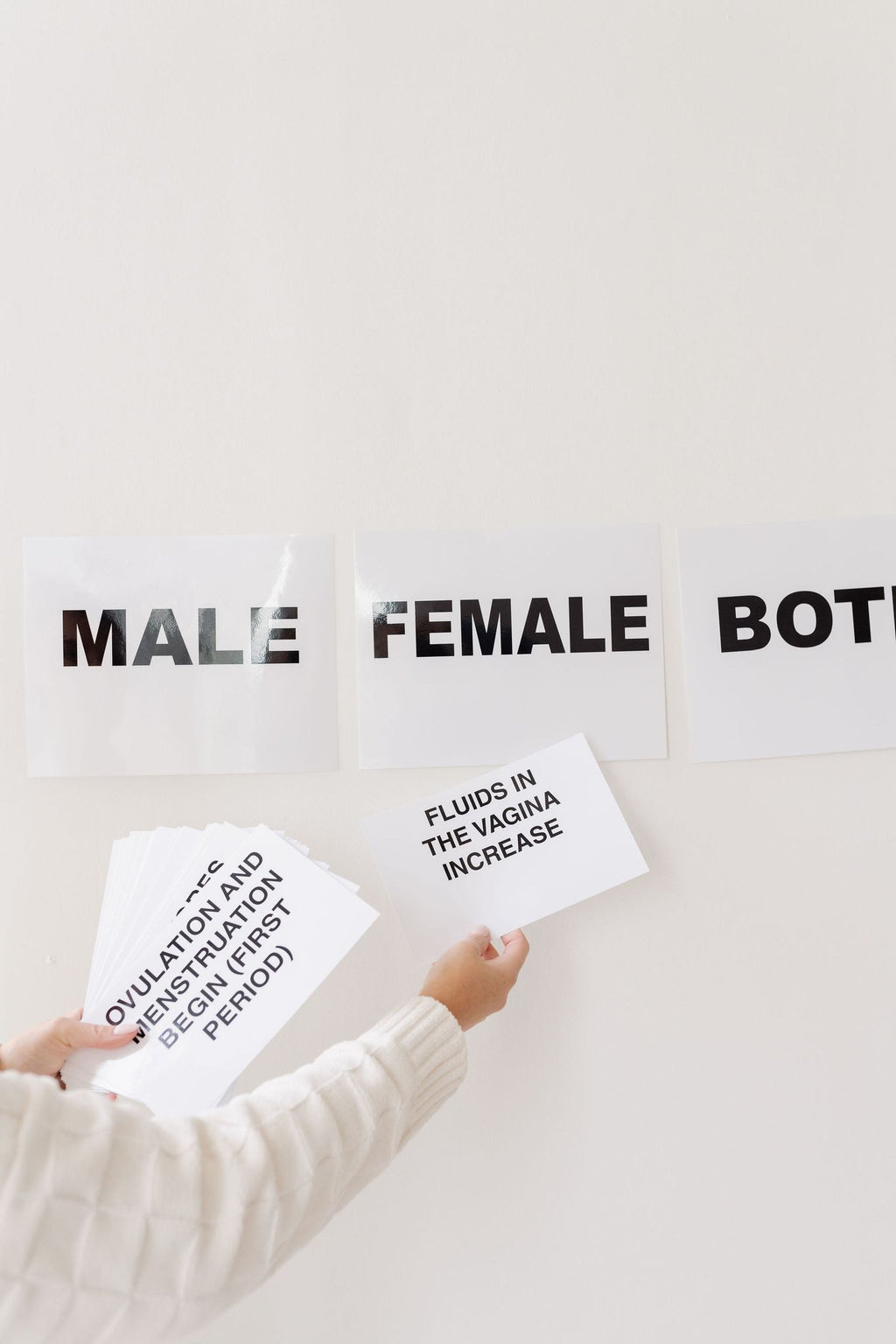 Body Positivity activity cards on a wall: Male, Female, and Both category signs with example behaviour cards
