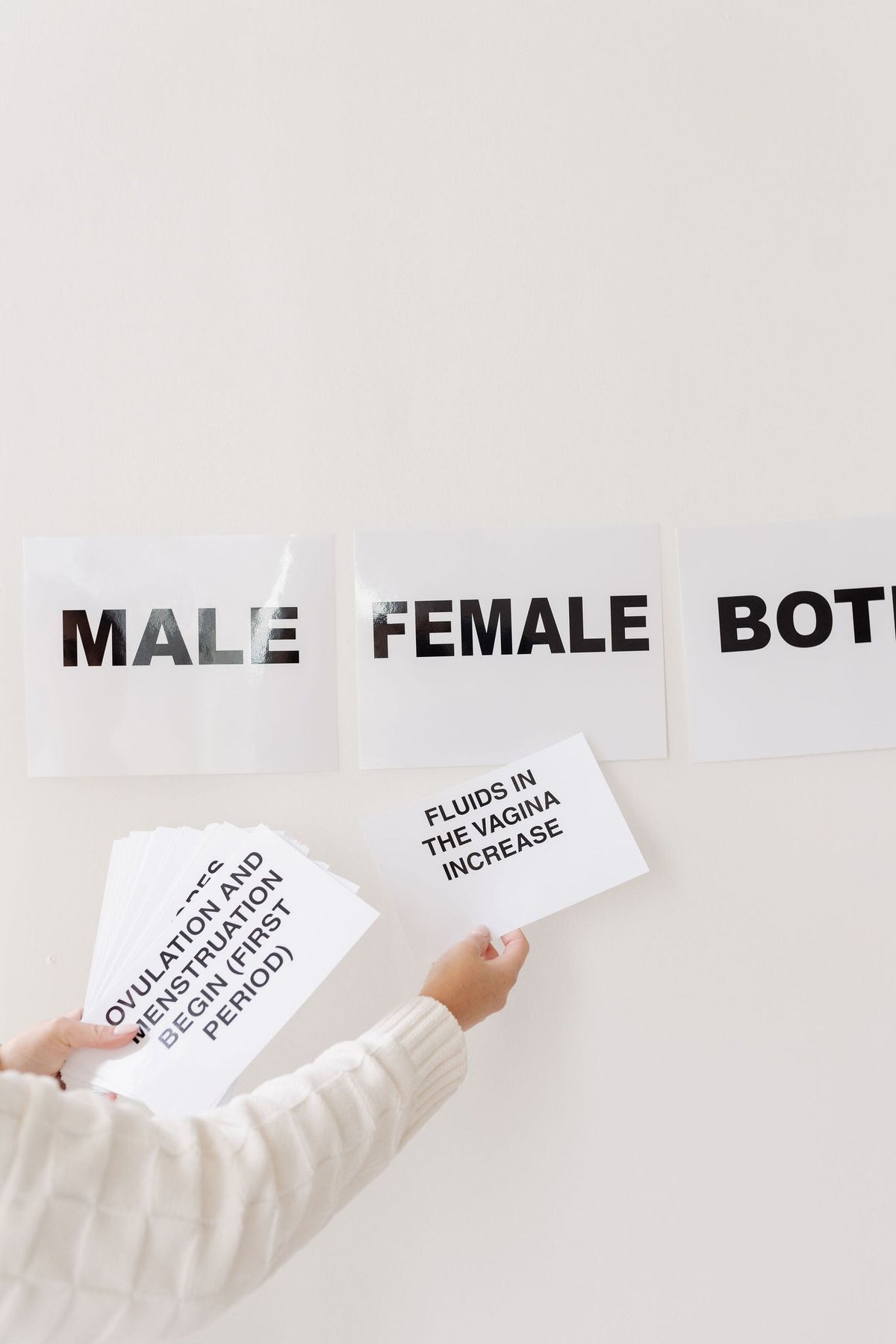 Body Positivity activity cards on a wall: Male, Female, and Both category signs with example behaviour cards