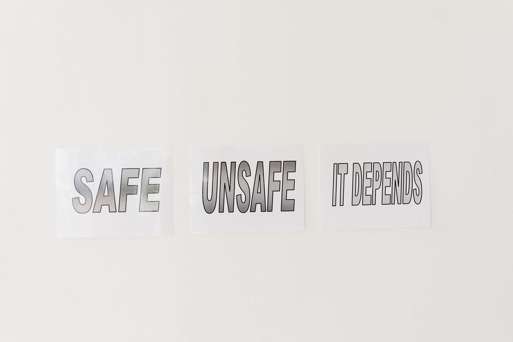 Digital Dangers: Safe or Unsafe, Activity Kit